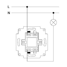 [8300016] ZS55 Single