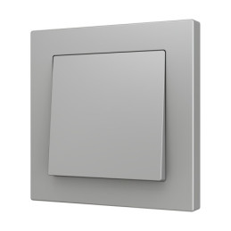 [830001706] ZS55 Single