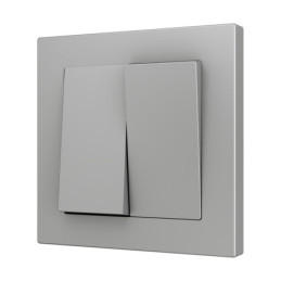 [830001906] ZS55 Double