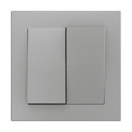 [830001906] ZS55 Double