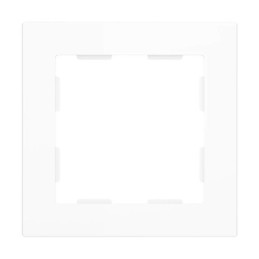 [980000109] ZS55 Frames